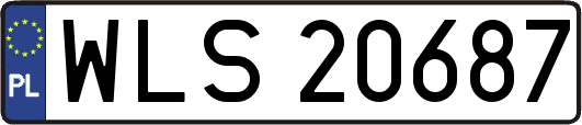 WLS20687