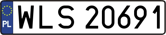 WLS20691