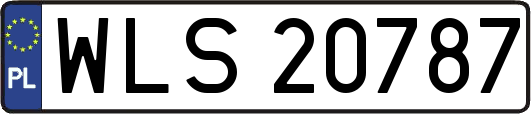 WLS20787