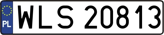 WLS20813