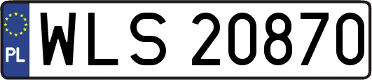 WLS20870