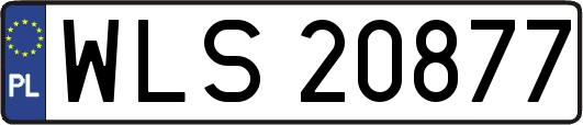 WLS20877