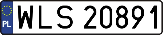 WLS20891