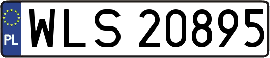 WLS20895
