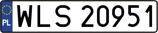 WLS20951
