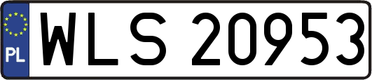 WLS20953