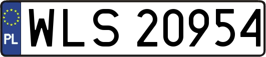 WLS20954