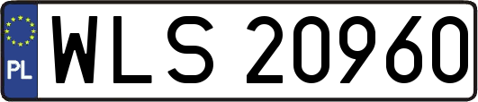 WLS20960