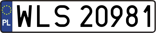 WLS20981