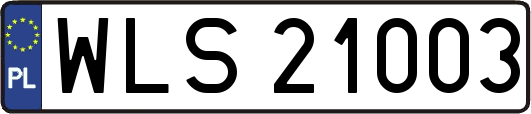 WLS21003