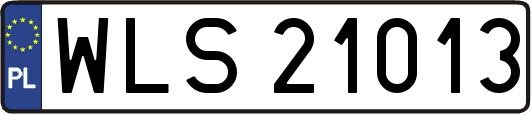 WLS21013