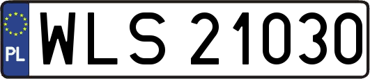 WLS21030