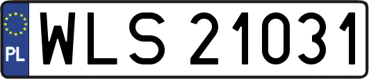 WLS21031