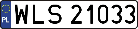 WLS21033