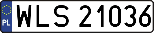 WLS21036