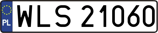 WLS21060