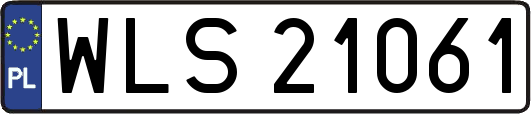 WLS21061