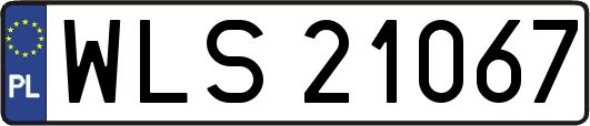WLS21067