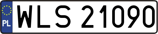 WLS21090