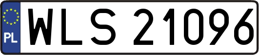 WLS21096