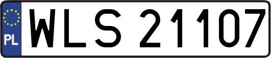 WLS21107