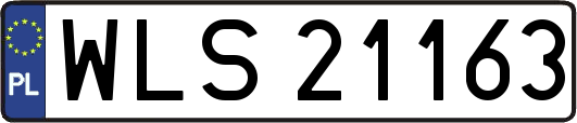 WLS21163