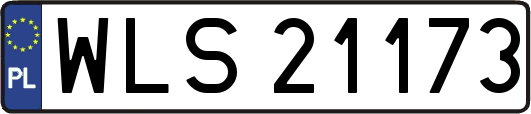 WLS21173