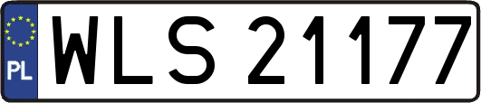 WLS21177