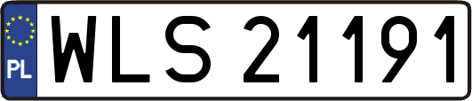 WLS21191
