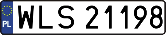 WLS21198
