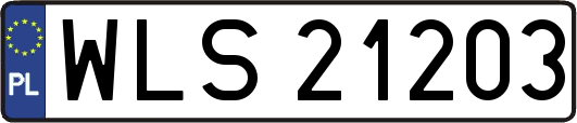 WLS21203