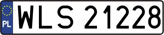 WLS21228