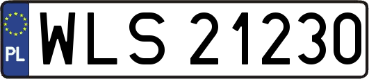 WLS21230