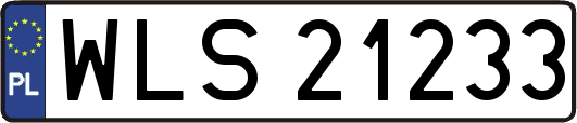 WLS21233