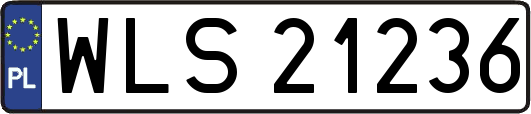 WLS21236