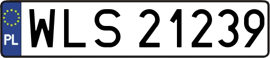 WLS21239