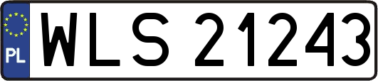 WLS21243