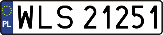 WLS21251