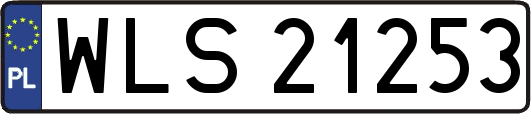 WLS21253