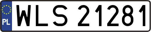 WLS21281
