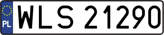 WLS21290