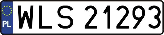 WLS21293