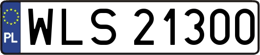 WLS21300