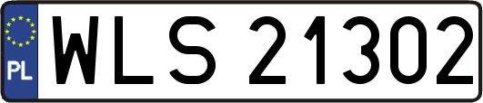 WLS21302