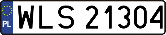 WLS21304