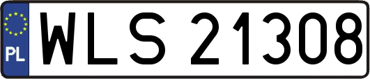 WLS21308