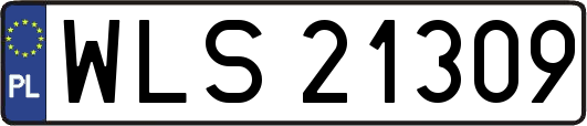 WLS21309