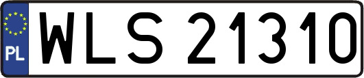 WLS21310
