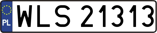 WLS21313