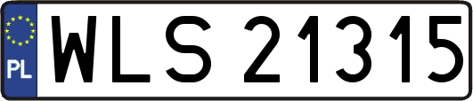WLS21315